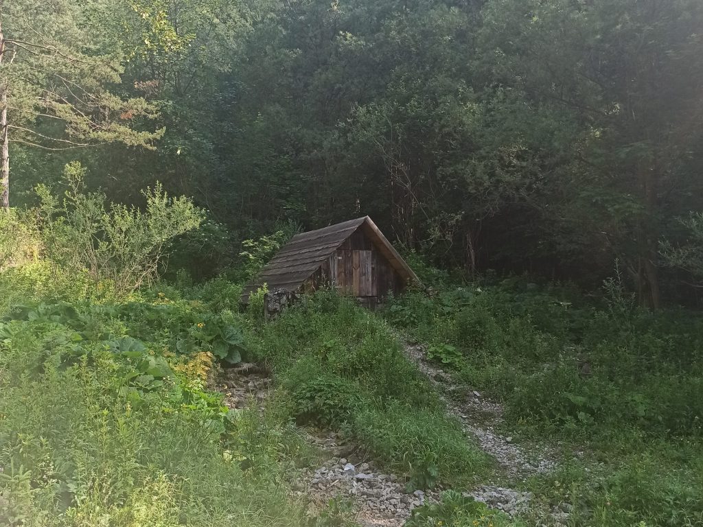 Drewniany domek na skraju lasu.