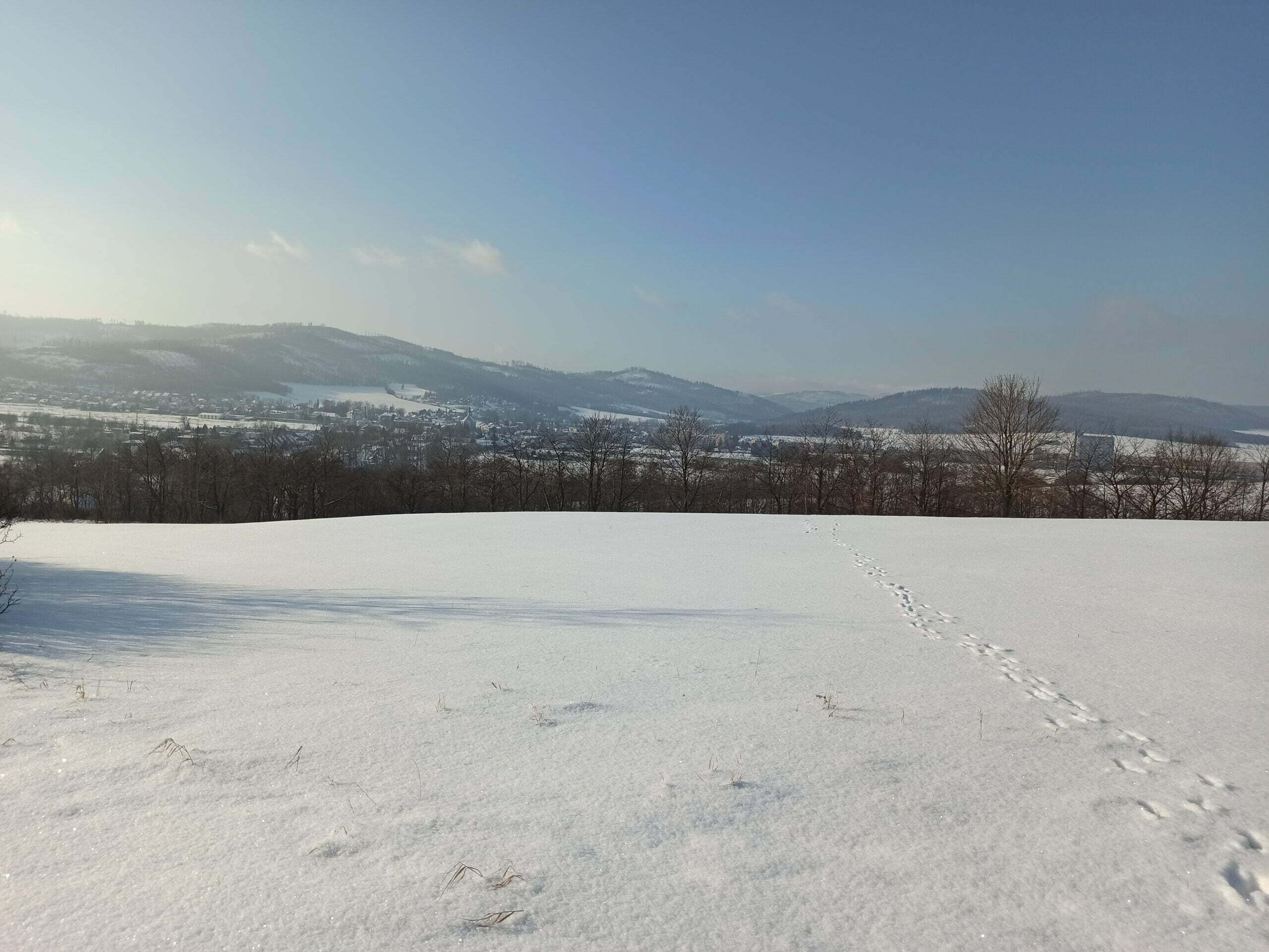 IMG_20210117_135403 IMG_20210117_135403