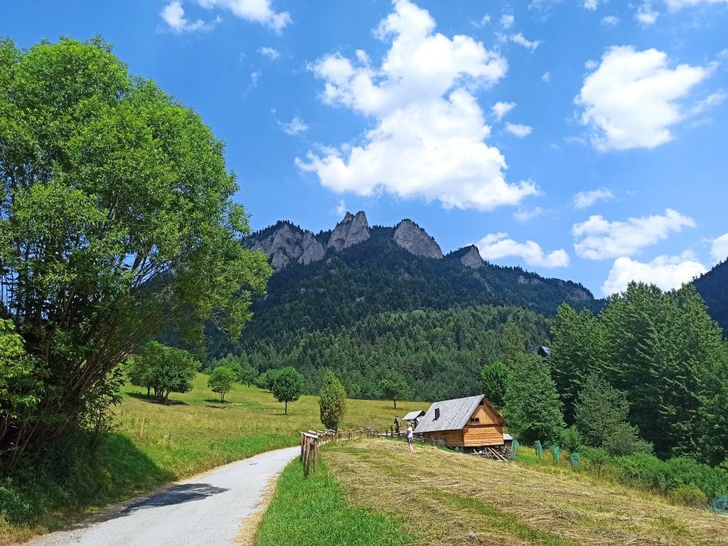 Widok na Trzy Korony.