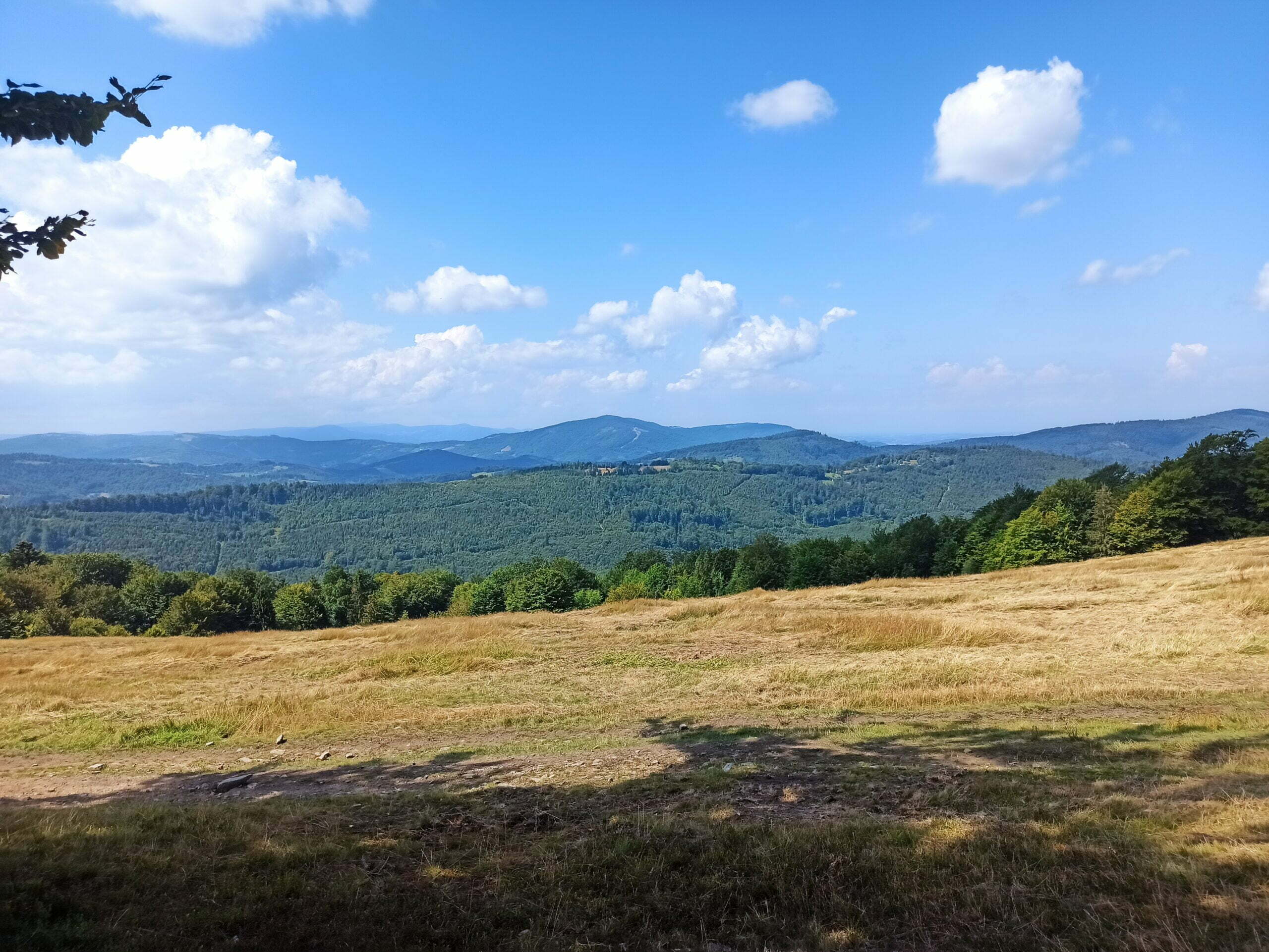 IMG_20220815_113702 IMG_20220815_113702